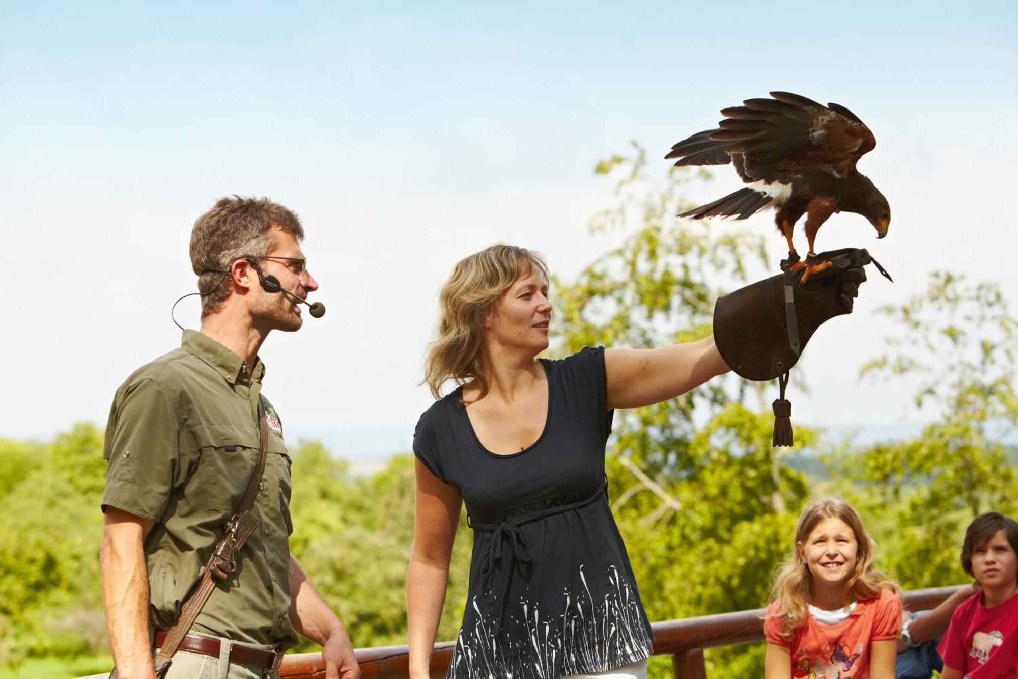 Erlebnispark Tripsdrill Natur-Resort Cleebronn Exteriör bild